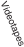 7JEFPUBQFT